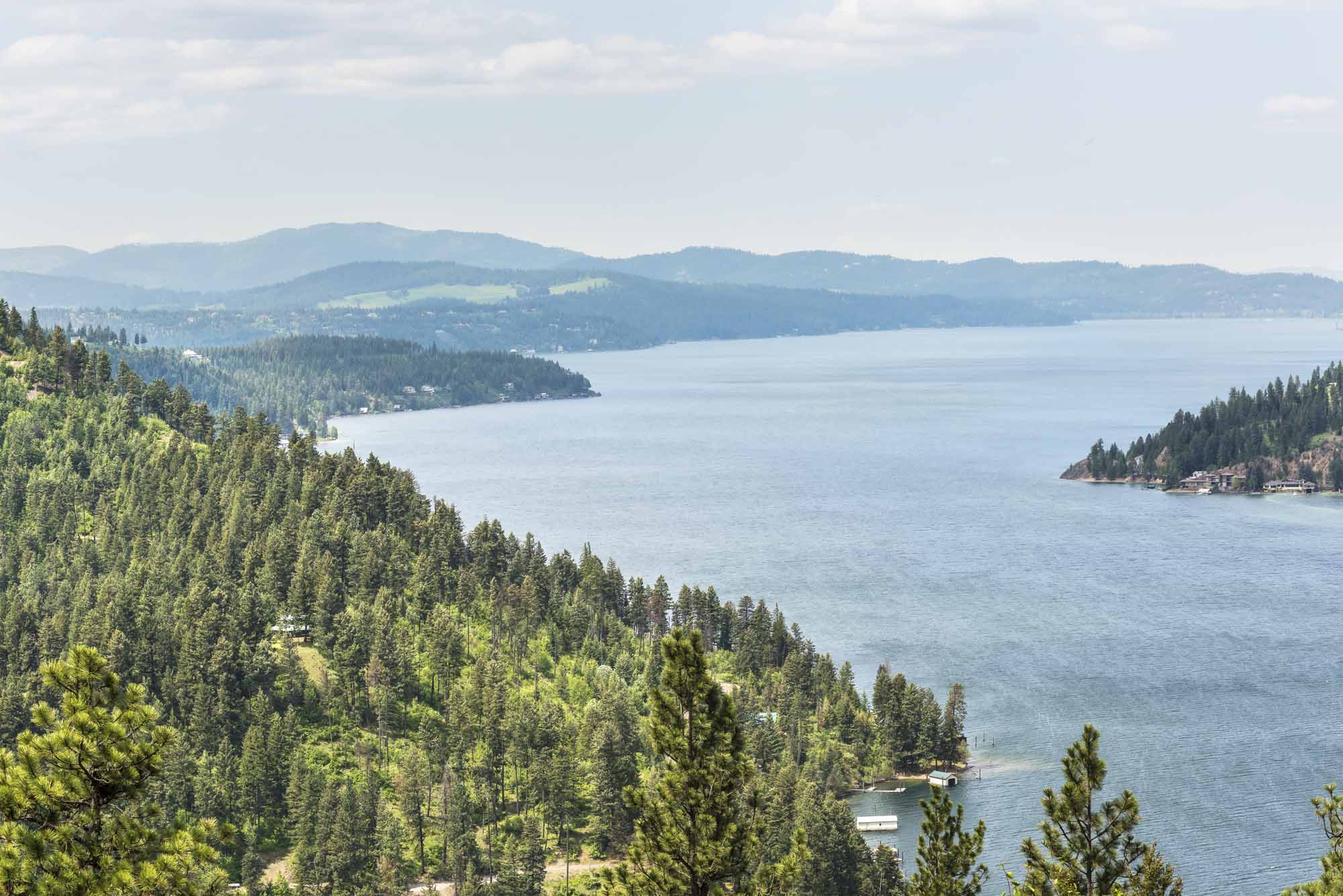 view of coeur d alene lake from mountains with pine trees in ida